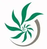 Bamboo Pipeline logo