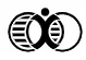 Bank First logo