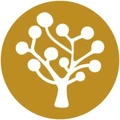 Banyan Tree Analytics