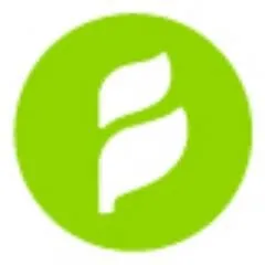 Banyan Branch logo