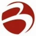 Barnett International logo