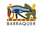 Centro de Oftalmologia Barraquer logo