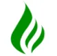 Barrow Green Gas logo