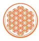 Base Organic Food logo