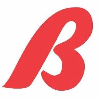 Bashas logo