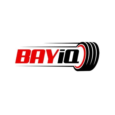 BAYiQ logo