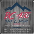 BC Auto logo