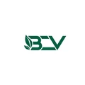 Bcv Global Ventures