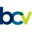BCV Asset Management logo