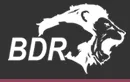 BDR Pharmaceuticals Internationals logo
