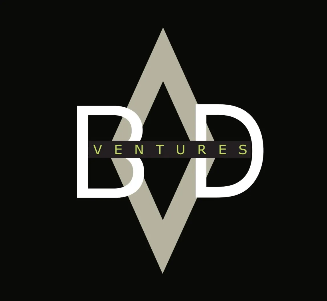 Black Diamond Ventures logo