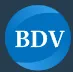 BDV Solutions logo