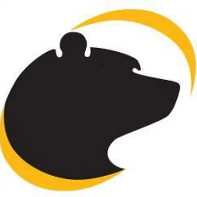 Bear Transportation logo