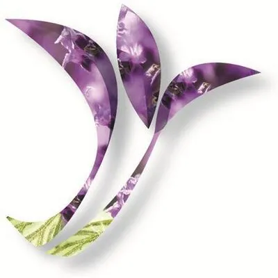 Beauty Despite Cancer logo