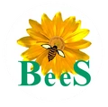 BeeS Software Solutions