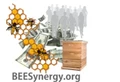 BEESynergy logo