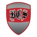 Beez Combat Systems logo