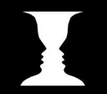 Behaviour Academy