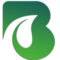 BeingMash