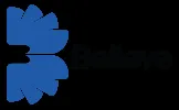 Believe logo