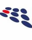 Belle Group logo