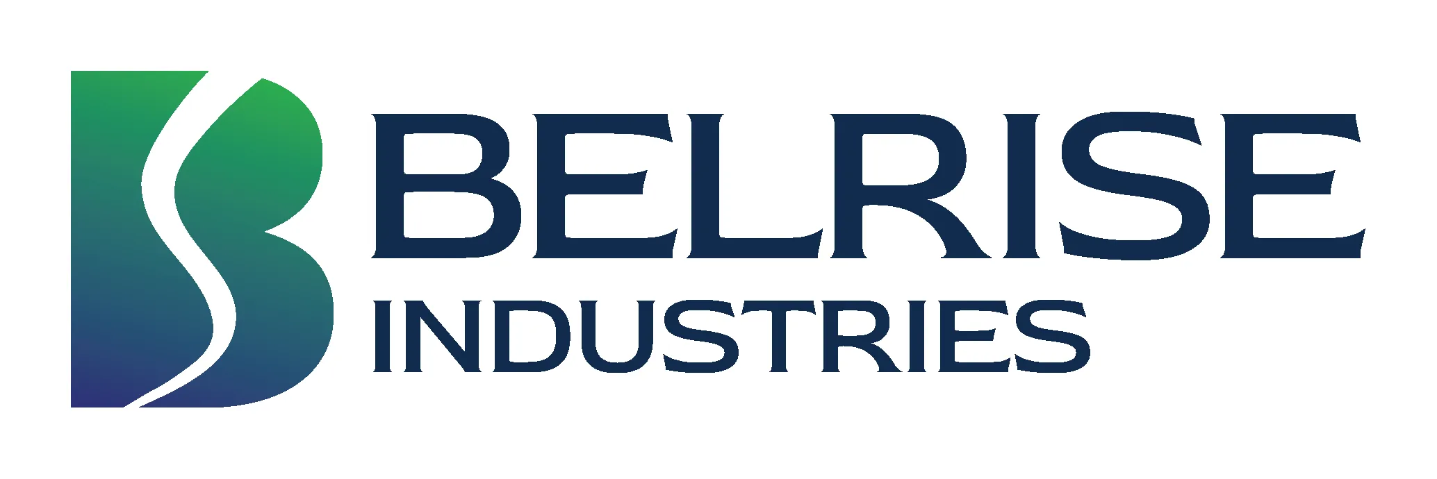 Belrise Industries logo