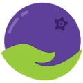 BerryCare