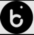 Berrycloset logo