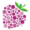 Berry People logo