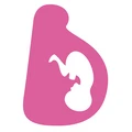 Best of the Bump