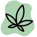 BestDosage logo