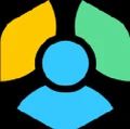 BestPeers Infosystem