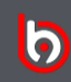 Betbhai logo