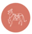 Beyond Designs Home logo