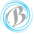 Bforce logo