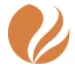 BFP Group logo
