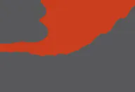 Biesterfeld logo