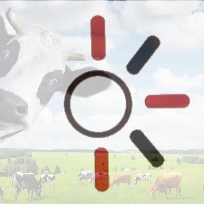biftek logo