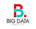 Big Data Profits