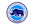Big Data Rhino logo