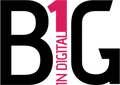 BIG In Digital logo