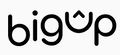 Big Up