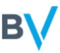 Big Valley Marketing logo