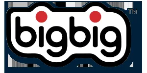 Bigbig logo