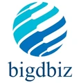 Bigdbiz