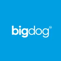 bigdog Agency logo
