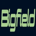 Bigfield Power logo