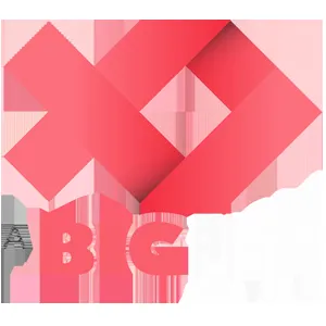 Big Fish Ventures