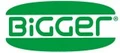 Bigger Verona logo