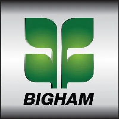 Bigham logo